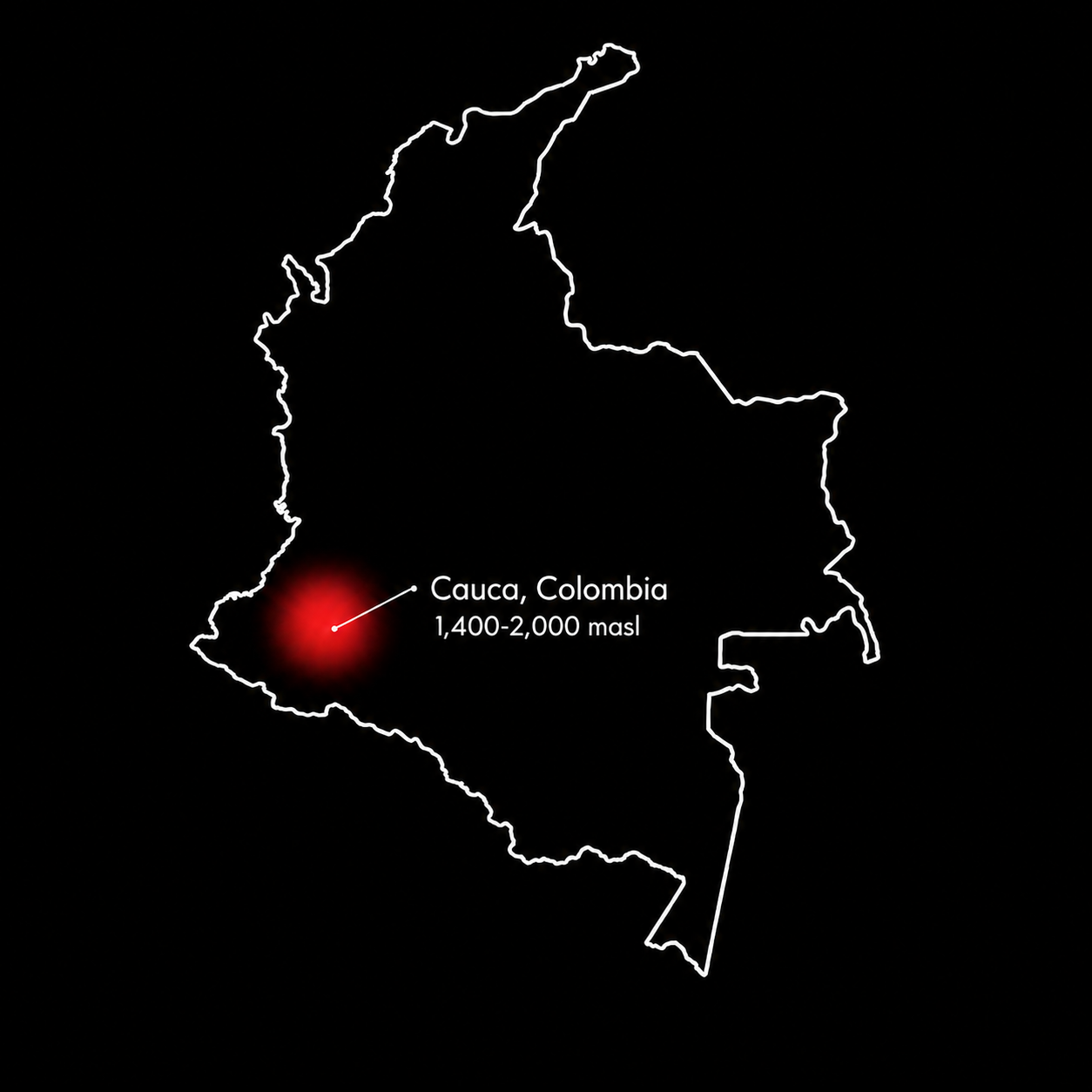 Totoró Classic Colombia - 340G Whole Bean Coffee