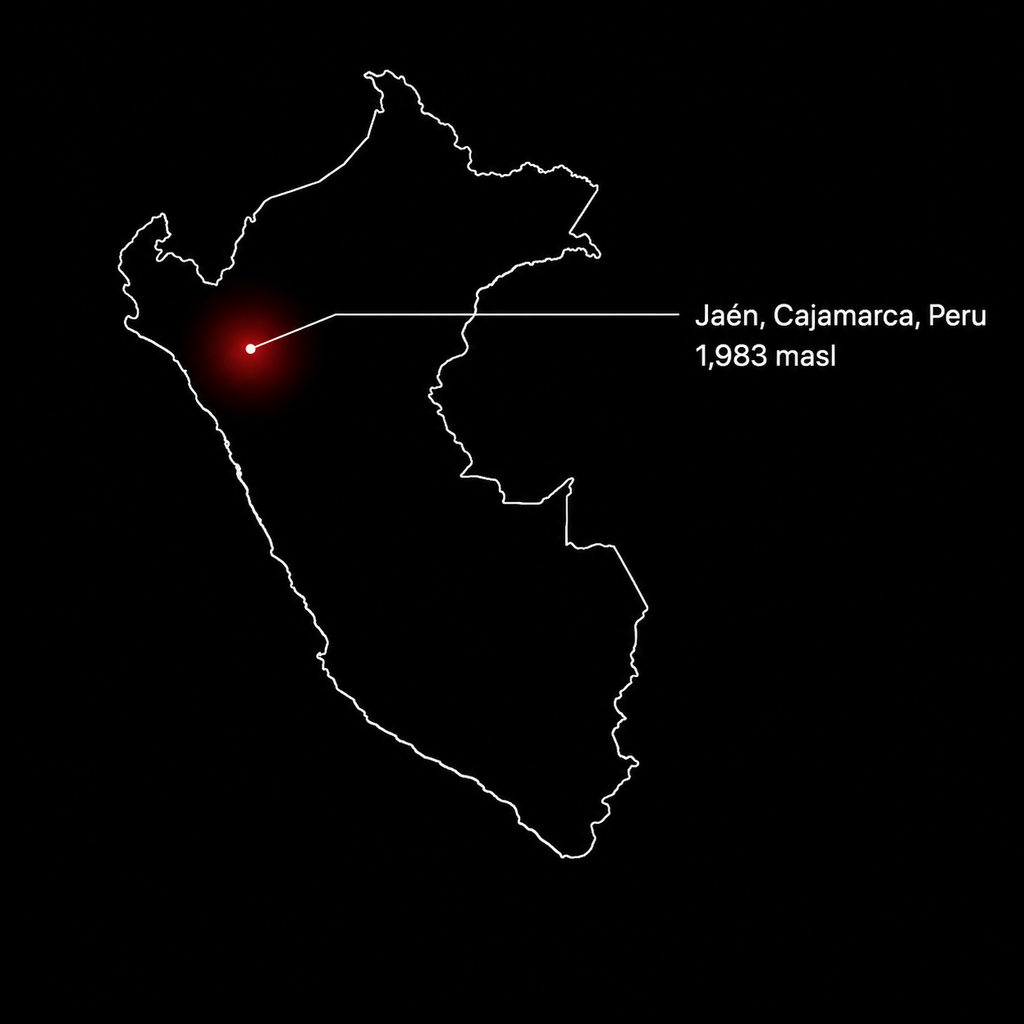 Wavelength Peru - Medium-Light Roast